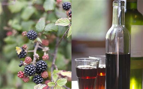 Guide To Making Blackberry Whisky