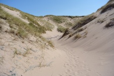 Wandering the dunes at Sandwood Bay