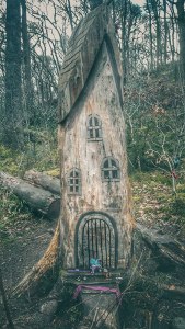 Small fairy house carved out of tree stump in woods